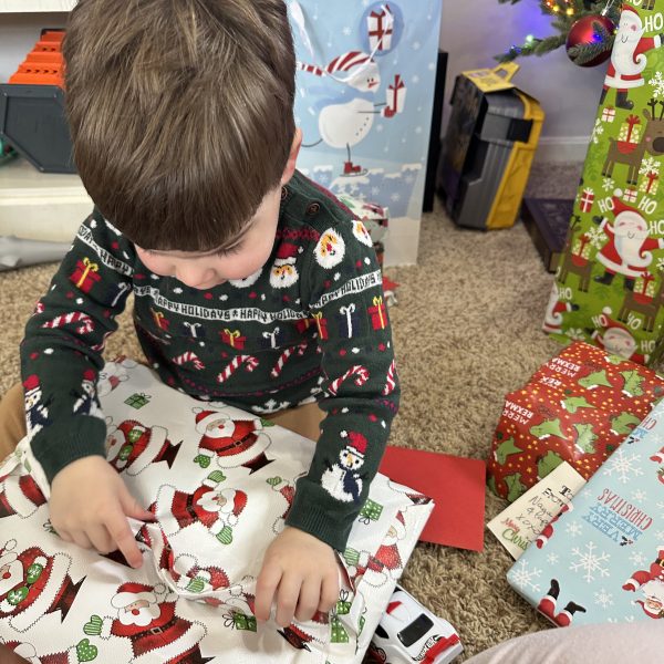 Elf of the Shelf: Advice for Rookies